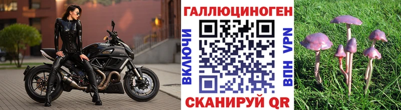 Псилоцибиновые грибы мухоморы  мориарти какой сайт  Меленки  как найти закладки 